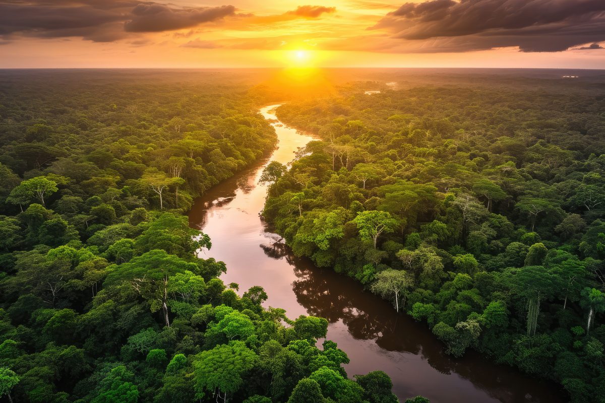 Sonnenuntergang über dem Amazonas-Regenwald