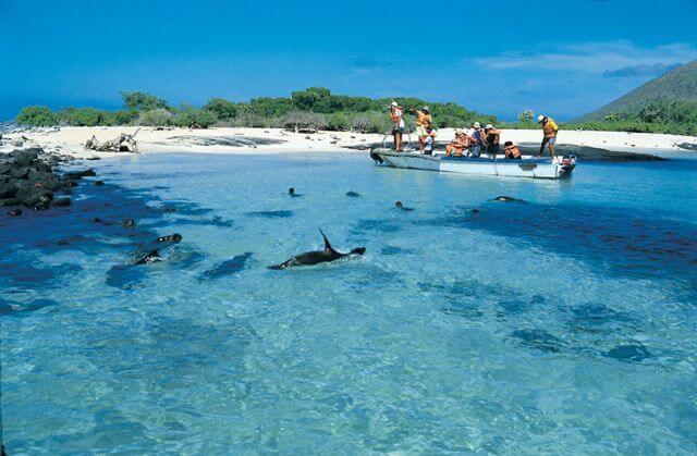 Galapagos Insel