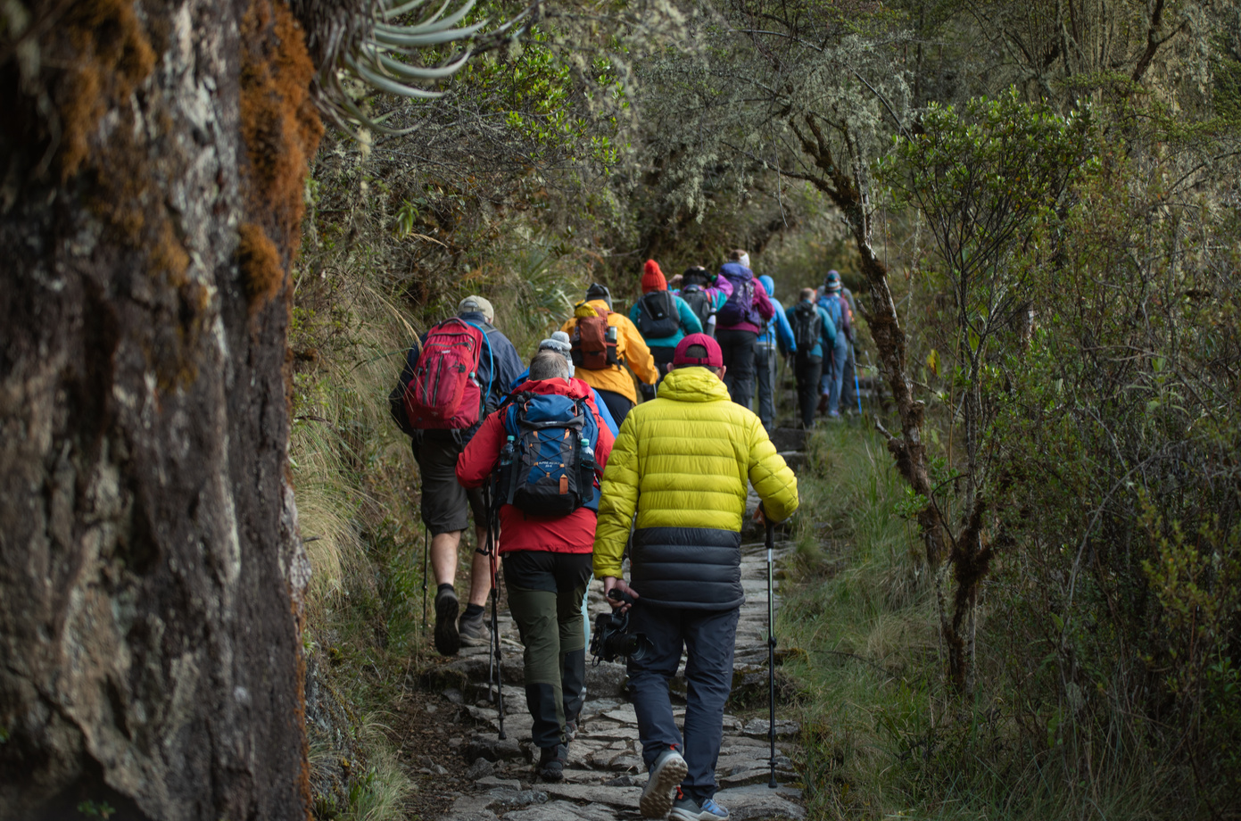 Wandergruppe auf dem Inka Trail